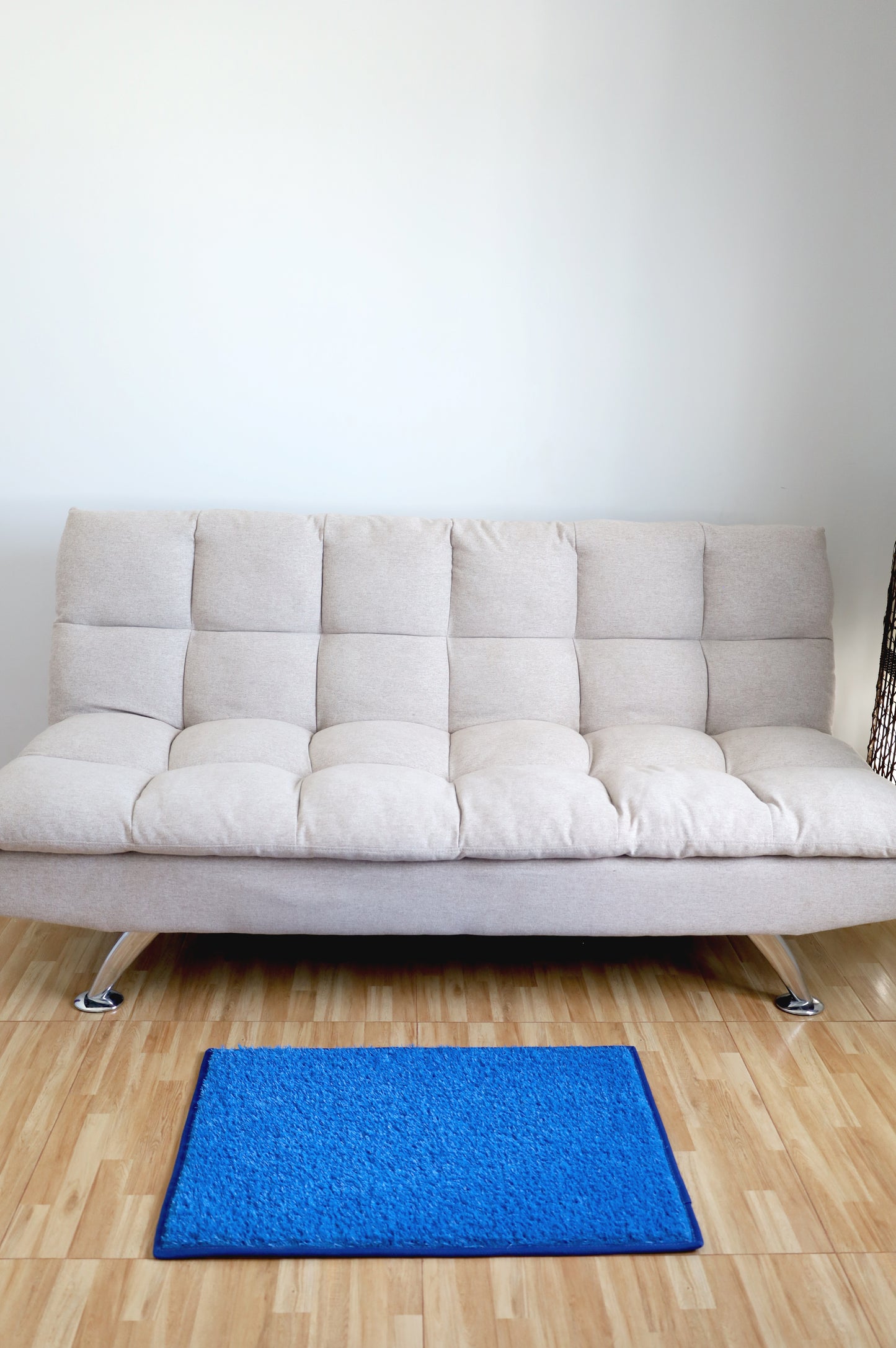 Living Room Mats