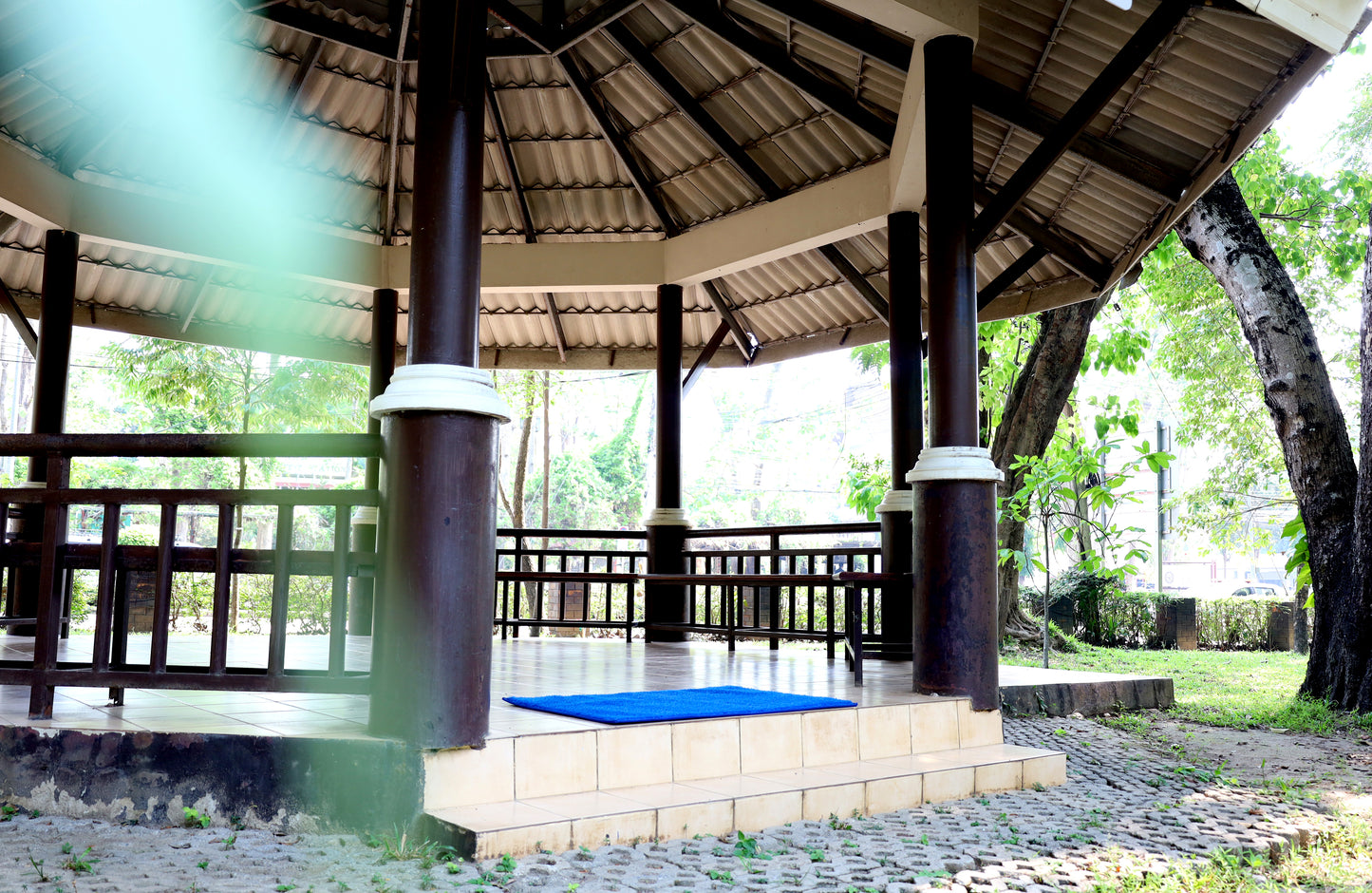 Medium Size Mats (45 x 29)
