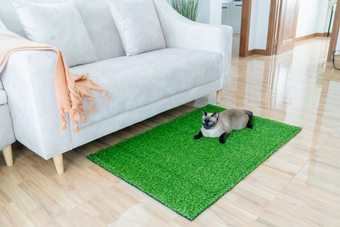 How To Get Your Mudroom Ready for Summer