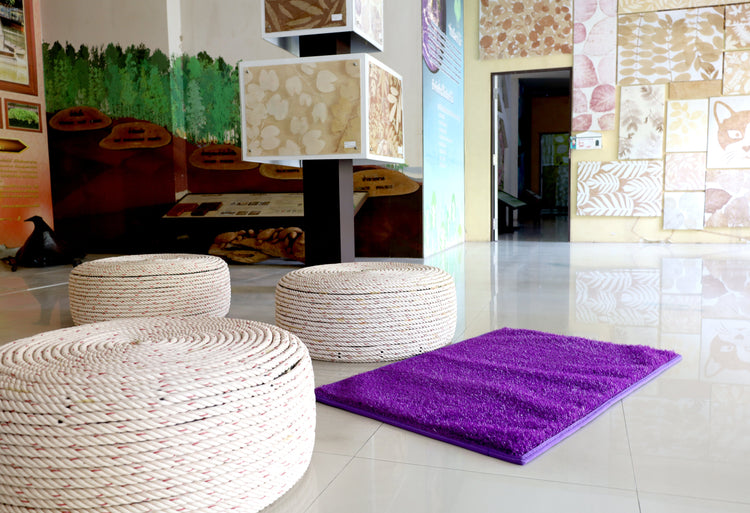 Indoor Mats