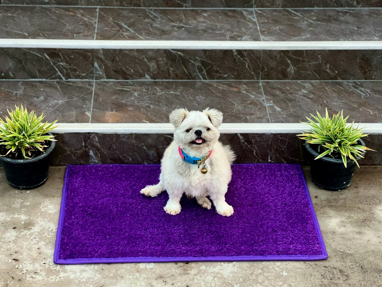 Small Size Mats (31 x 19.5)