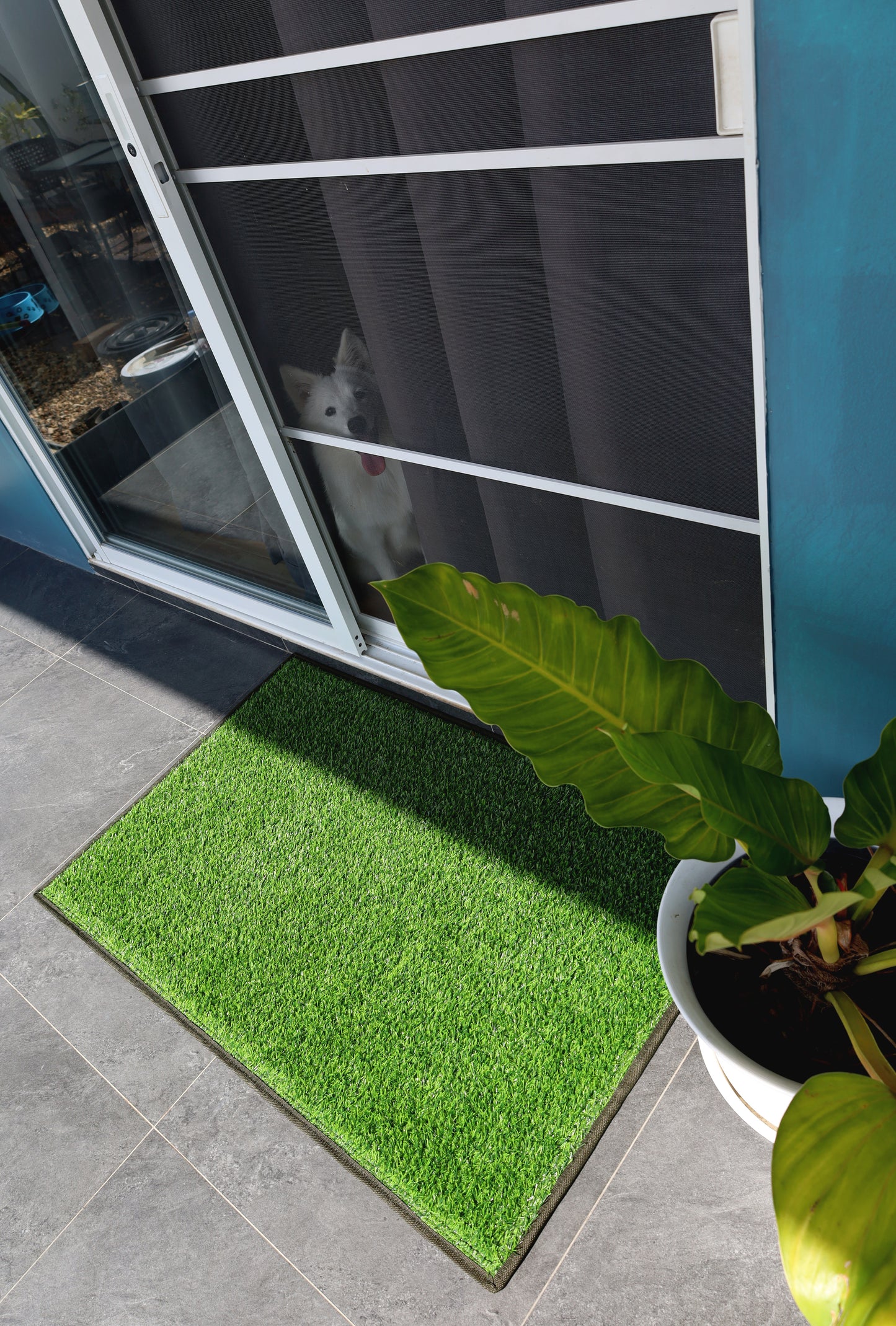 Entryway - Outdoor Mats