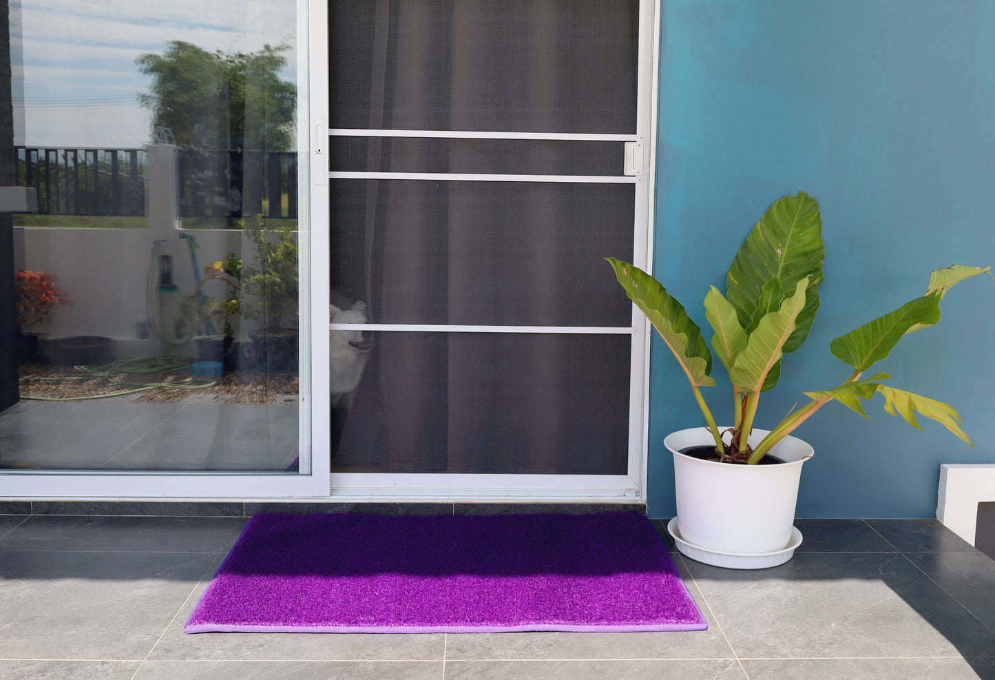 Entryway - Outdoor Mats