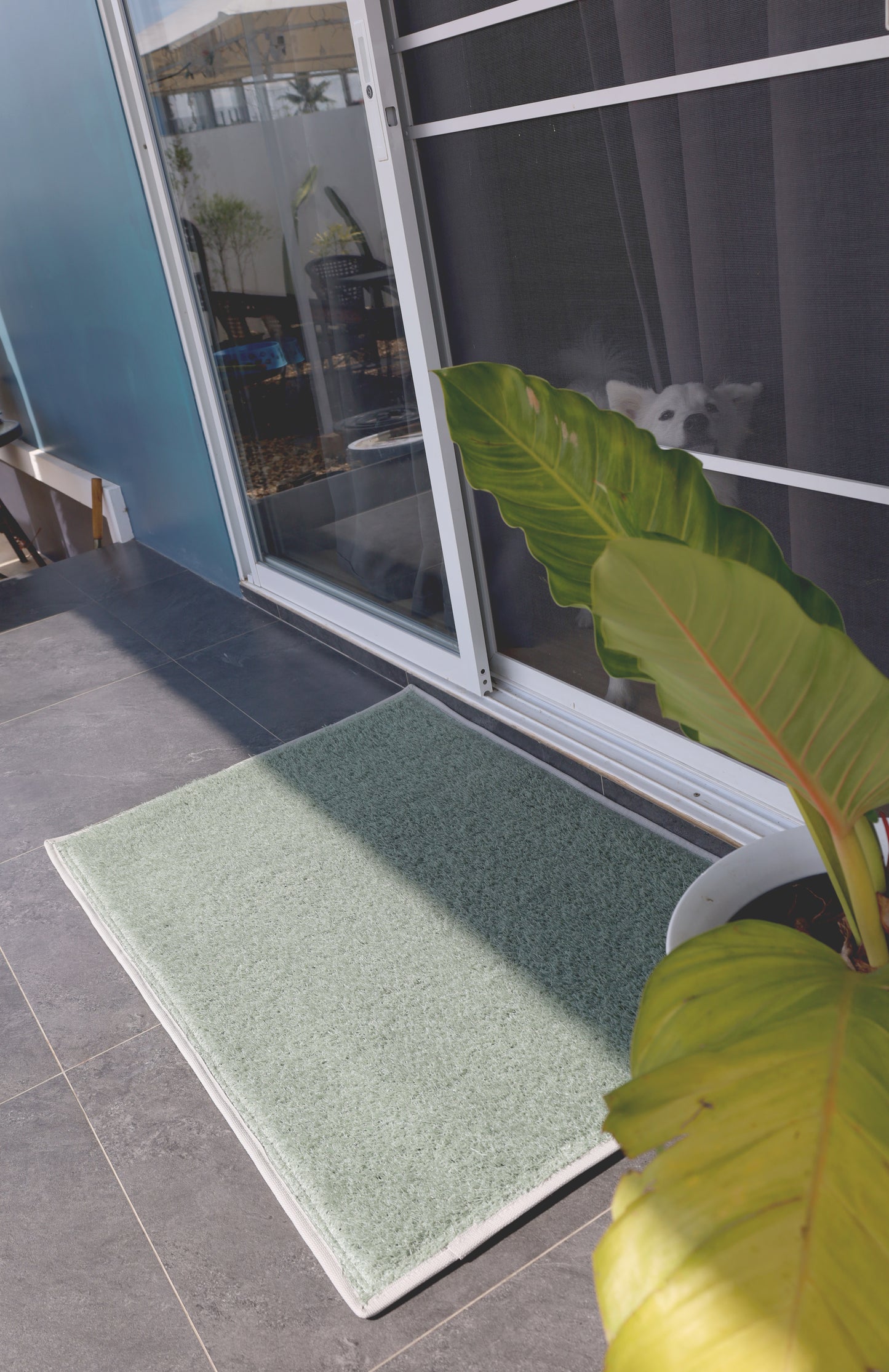Entryway - Outdoor Mats