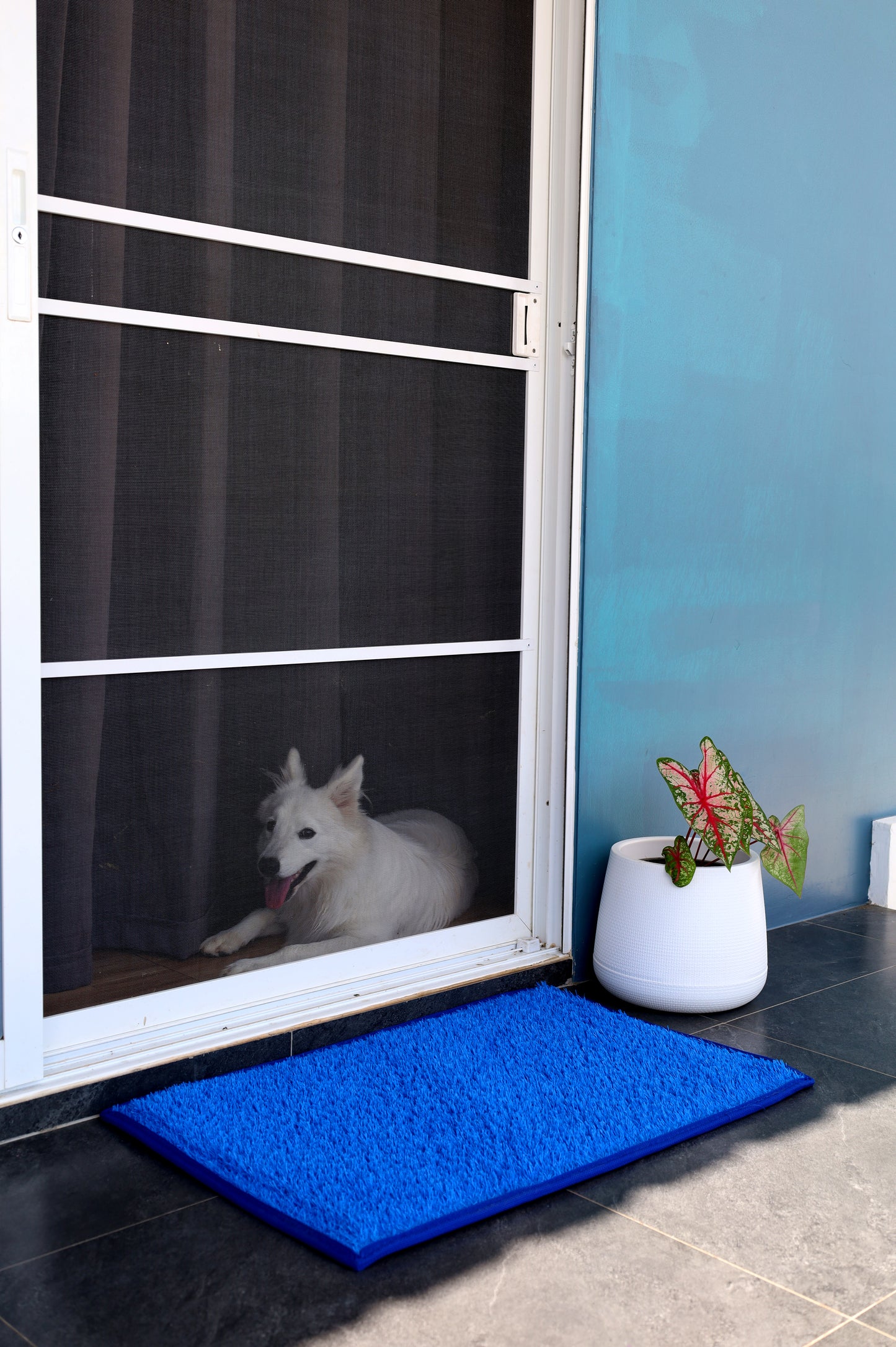 Entryway - Outdoor Mats