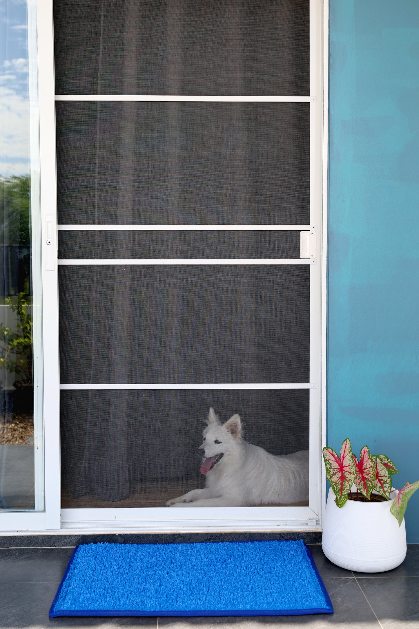 Entryway - Outdoor Mats