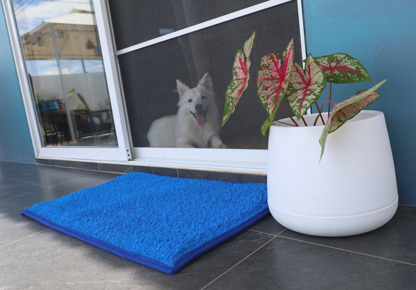 Entryway - Outdoor Mats