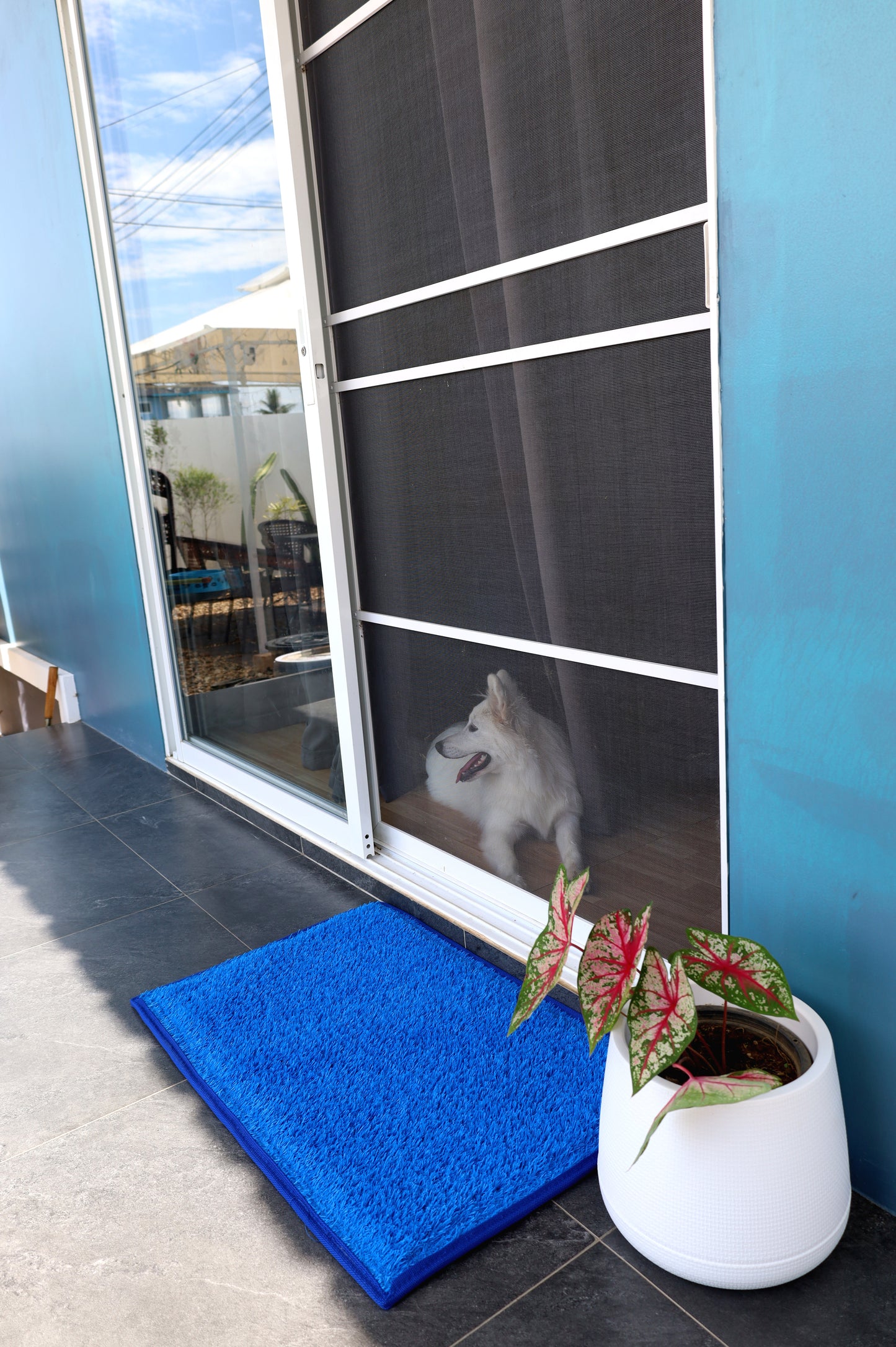 Entryway - Outdoor Mats