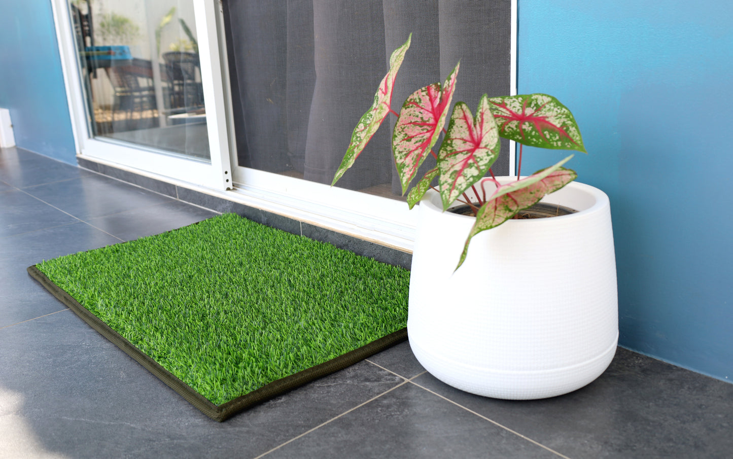 Entryway - Outdoor Mats