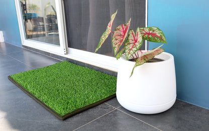 Entryway - Outdoor Mats