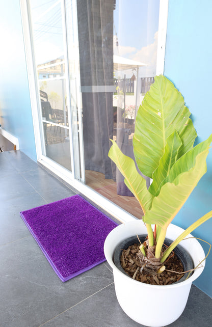 Entryway - Outdoor Mats