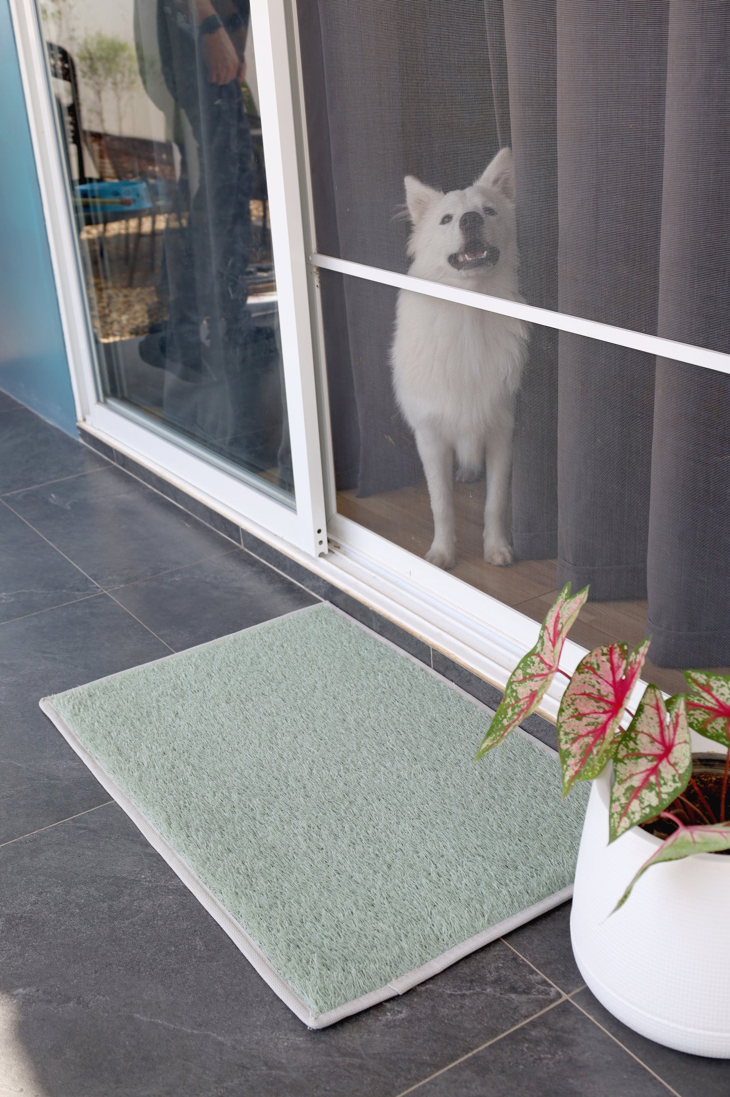 Entryway - Outdoor Mats