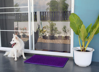 Entryway - Outdoor Mats