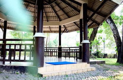 Medium Size Mats (45 x 29)